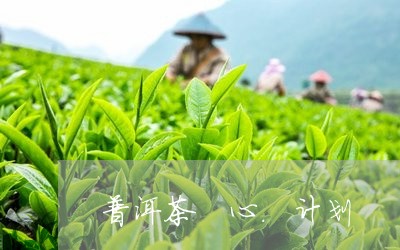 普洱茶 心.计划/2023041002703